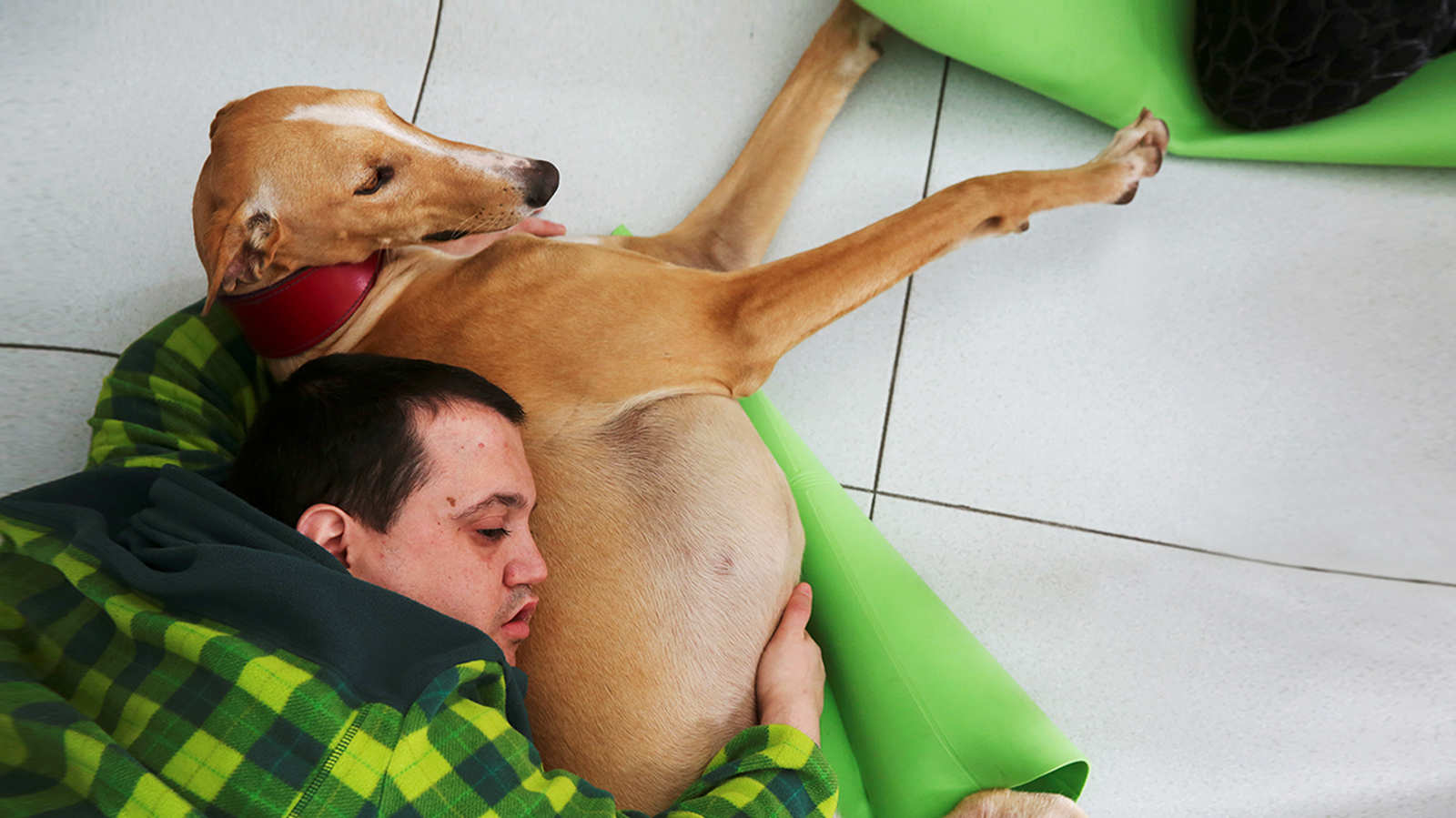 Snapshots: A dose of puppy love for the mentally ill