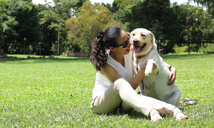 Post thumbnail of Blind man couldn’t get into lift because of guide dog