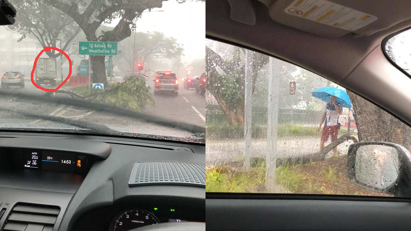 Risking his own safety, truck driver braves heavy rain to remove fallen branch from the road