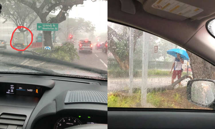 Post thumbnail of Risking his own safety, truck driver braves heavy rain to remove fallen branch from the road