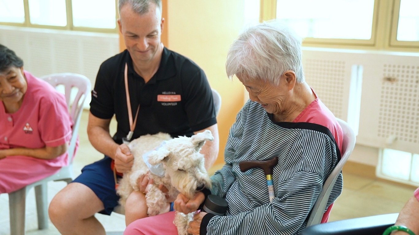 therapy dogs singapore