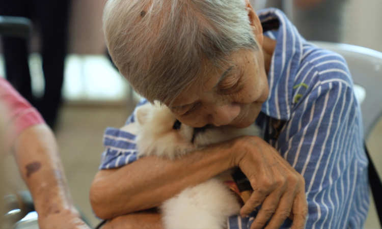 Post thumbnail of Therapy Dogs in SG: Bringing paws for comfort to those who need it