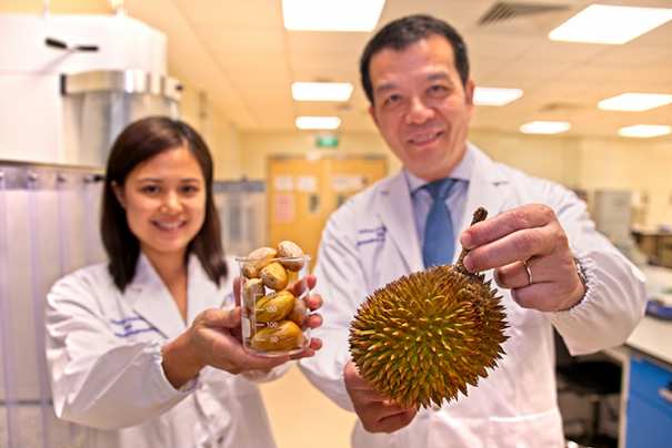 The NTU team tested the fermentation process with various sources of fruit waste, including white and red grape pomace, mango and apple peels, pineapple cores, and even durian husks and seeds, before Covid-19 struck