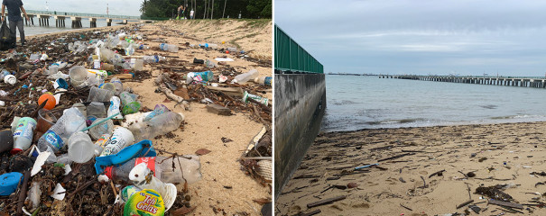 Singapore beach cleanup - before and after