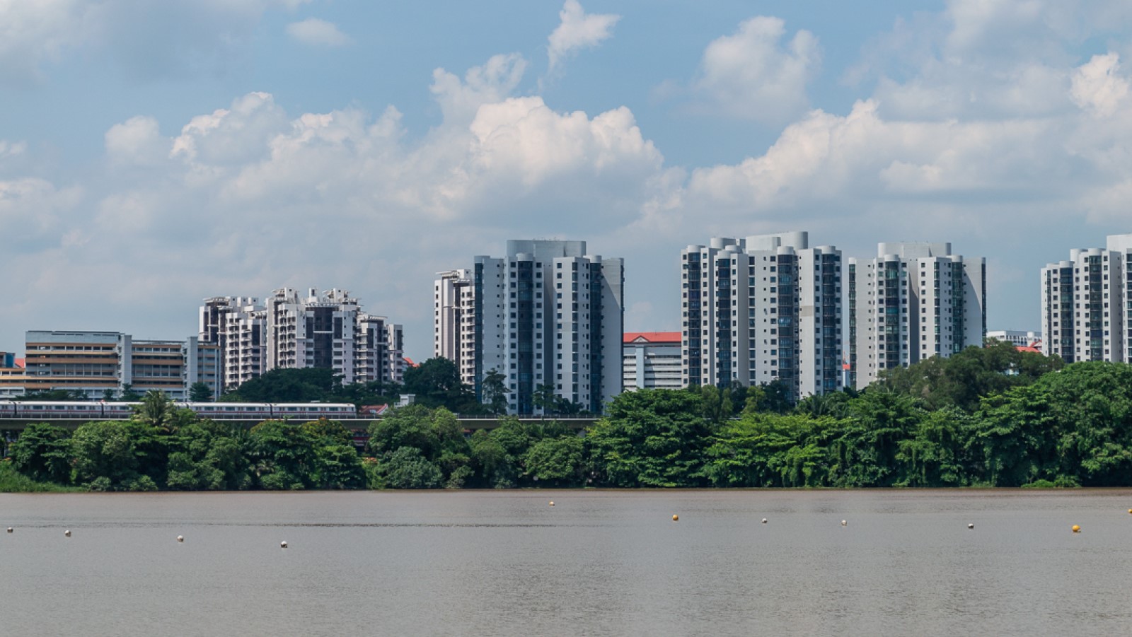 Post thumbnail of Jurong Lake Gardens: Finding a green spot in our little red dot