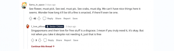 Reddit comments regarding irresponsible behaviour towards marine wildlife