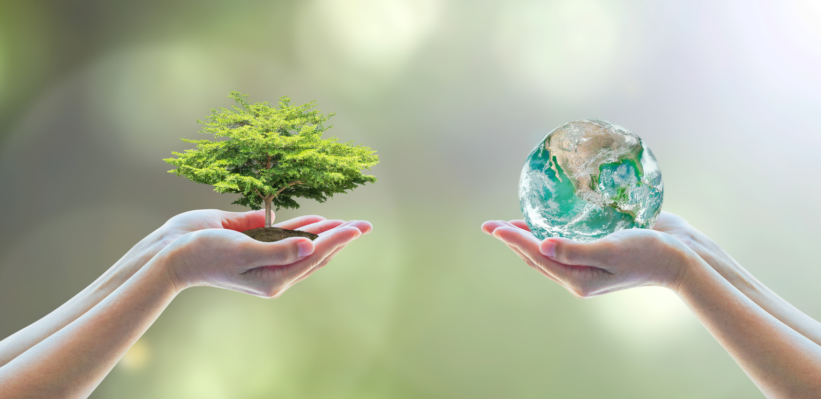 Post thumbnail of Five simple ways you can do your part to save the Earth for World Environment Day
