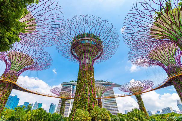 Donate SingapoRediscover vouchers for those who need to visit Garden by the Bay