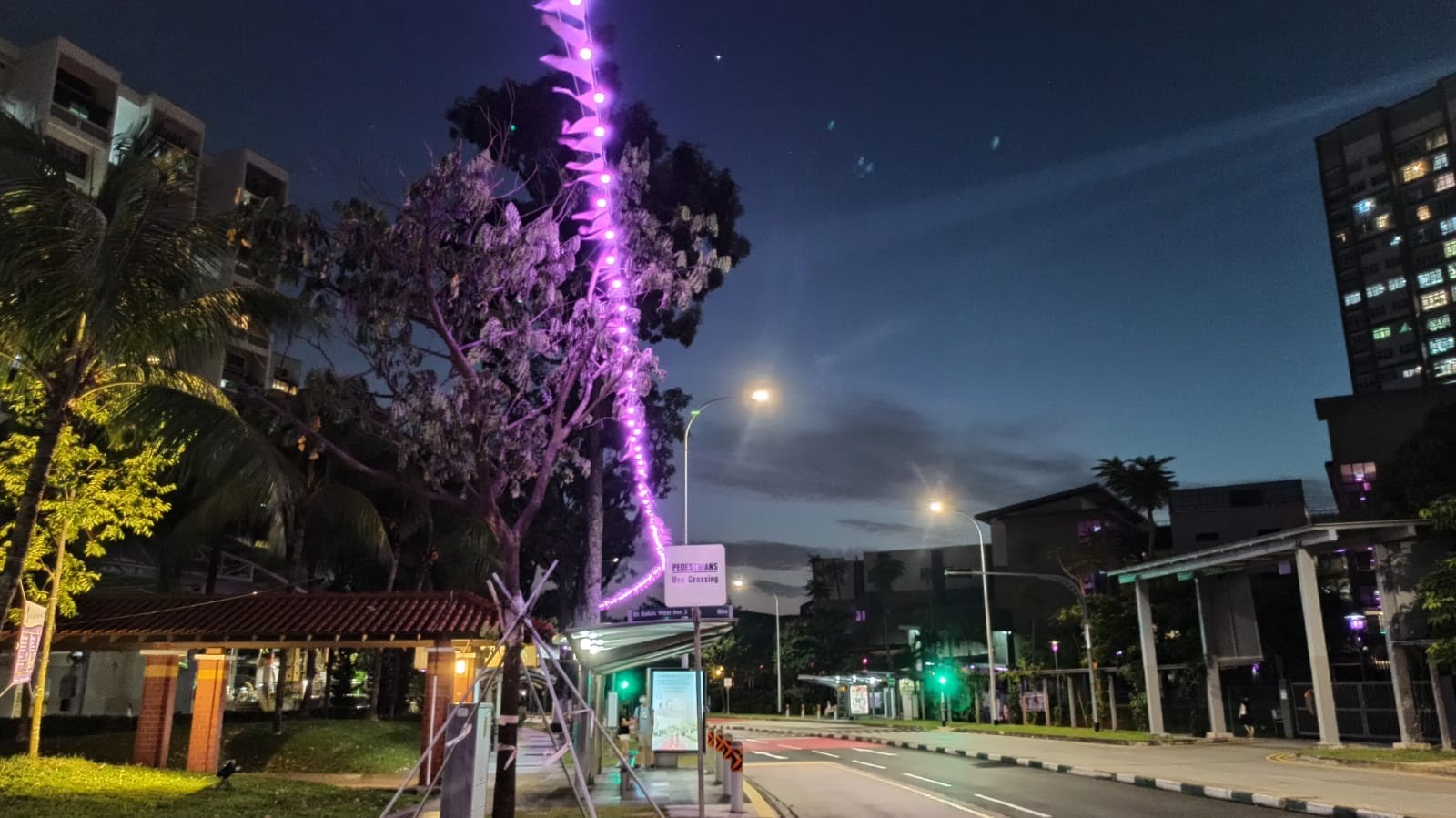 Post thumbnail of How this simple purple string of lights is helping to light Bukit Batok in a different way