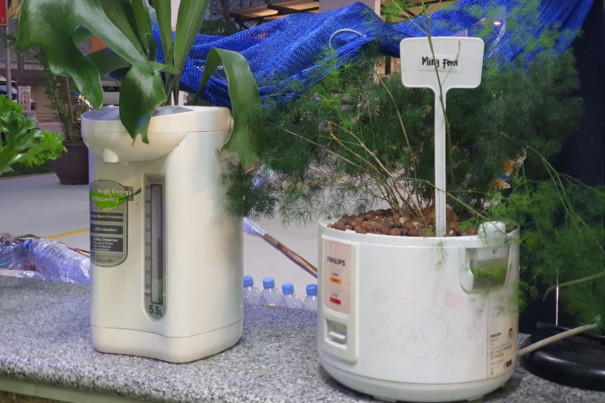 Kitchen appliances that have been repurposed as planters by the RC.