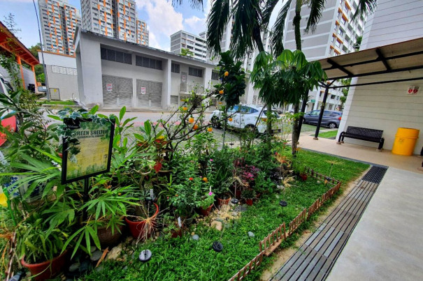 Singapore Urban Garden