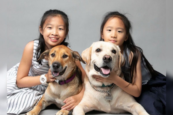 Something for dog lovers too: Action for Singapore Dogs (ASD)