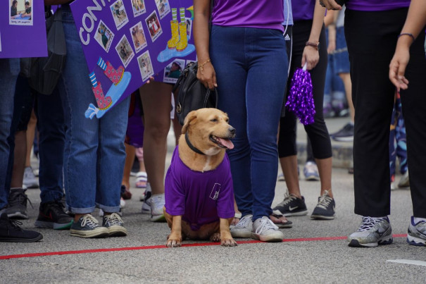 Pets aren’t an exception either! Dressed in a purple t-shirt, this pup was seen enjoying the event 