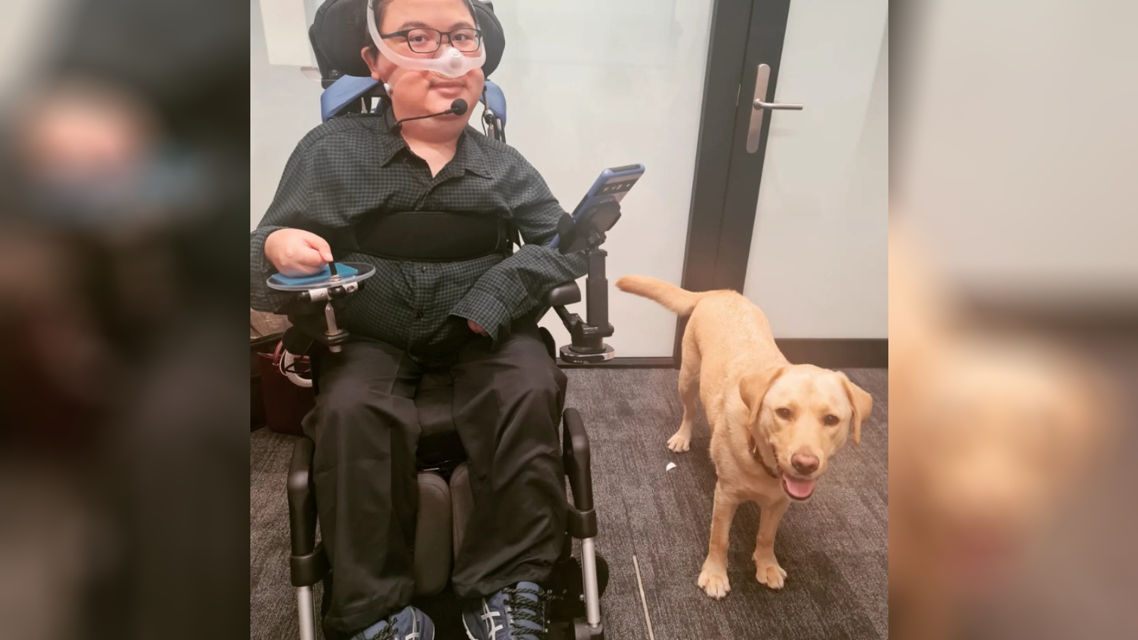 Post thumbnail of He applies for assistance dog with K9Assistance, ends up advocating for all service dogs in Singapore