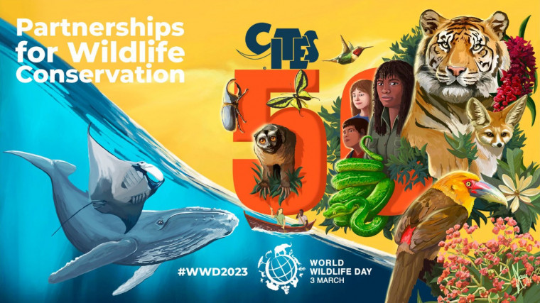 Six ways to celebrate World Wildlife Day in Singapore's urban jungle!