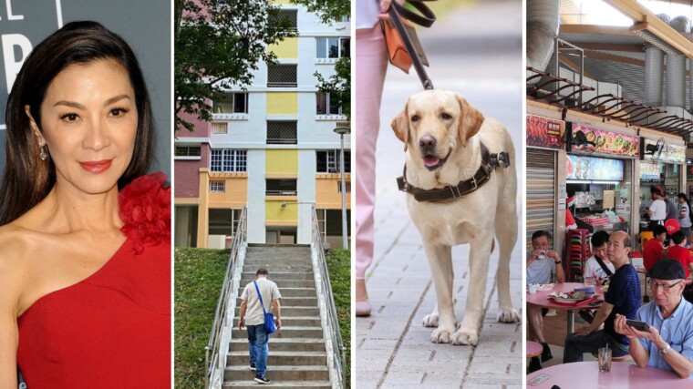 A Kind Take: Oscars 2023, Sophie Soon and assistance dogs, lanyards on the MRT and more help for rough sleepers
