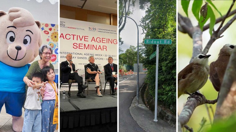 A Kind Take: On Kindness Day SG, World Ageing Festival, Ridout Road, Festival of Biodiversity and saying goodbye
