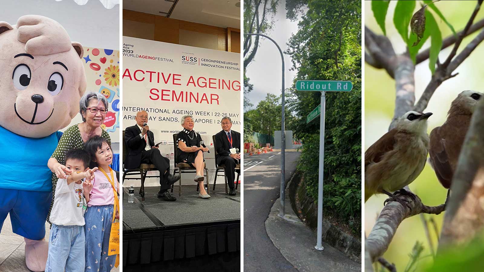 Post thumbnail of A Kind Take: On Kindness Day SG, World Ageing Festival, Ridout Road, Festival of Biodiversity and saying goodbye