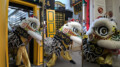 Connecting Generations- Lion Dance with Pride thumbnail